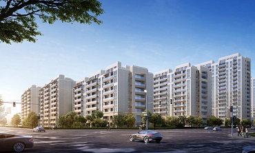 金廈?陽(yáng)光誠(chéng)域 | 清風(fēng)綠意，家園樂(lè)活